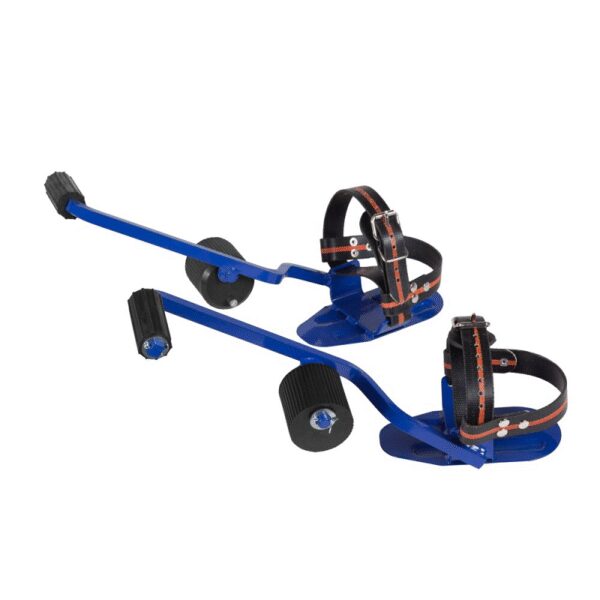 Słupołazy, drzewołazy